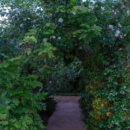 Il Giardino Di Michela By Domusicily Villa Mondello