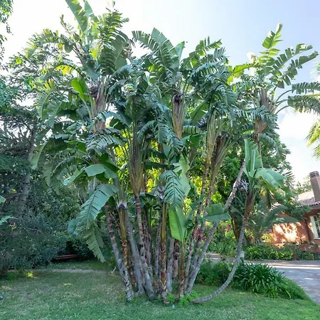 Villa Il Giardino Di Michela By Domusicily