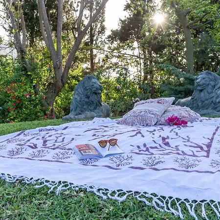 Villa Il Giardino Di Michela By Domusicily Mondello